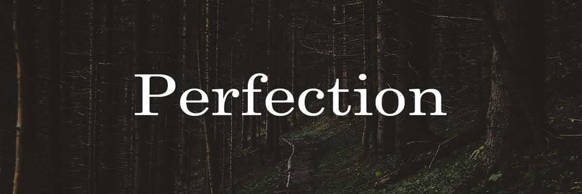 Search of Perfection