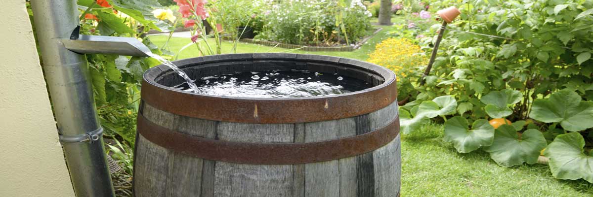 In Colorado, Rain Barrels Are Illegal. Yup. – Groovy Green