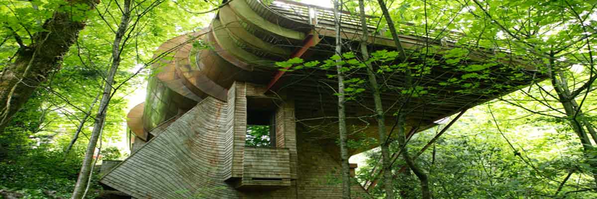 Darth Vader Treehouse