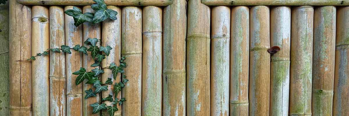 Bamboo Fencing