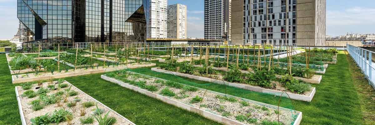 Urban farming